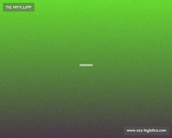 新疆篮球队比赛时间